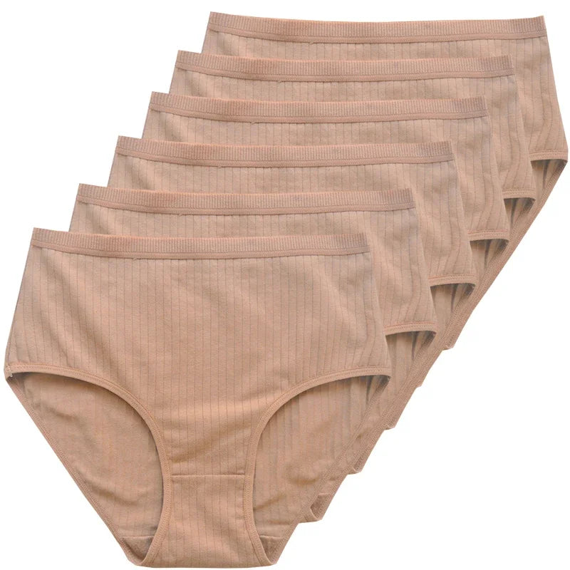 Women's High Rise Cotton Panties (6 pcs Set)