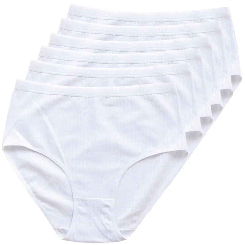 Women's High Rise Cotton Panties (6 pcs Set)