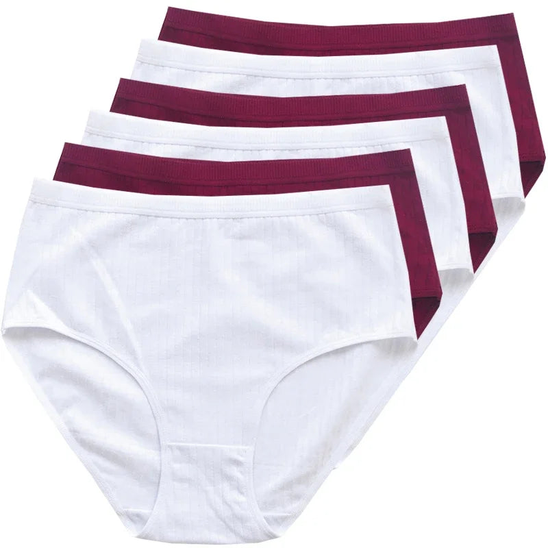 Women's High Rise Cotton Panties (6 pcs Set)